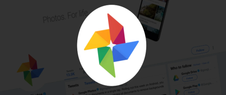 Google Photos Revamps Settings Page for Enhanced User Experience