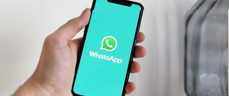 Whatsapp Updates will Soon Enable Reactions, Expand File Size, and Increase Group Limit